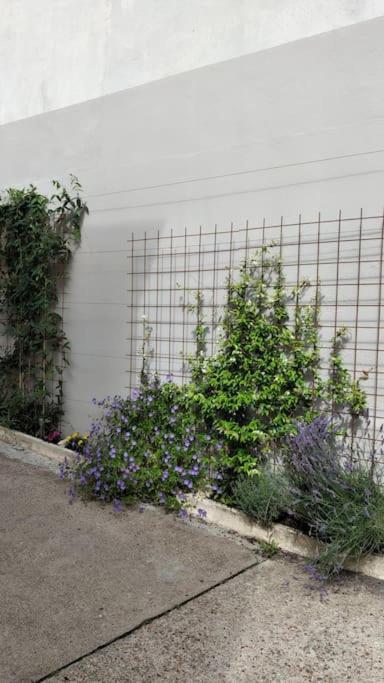 Apartmán Experience Inouie A Orleans ! Exteriér fotografie