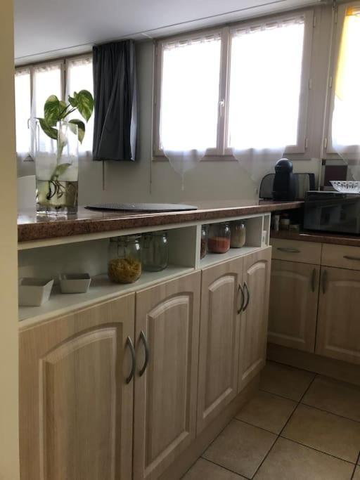 Apartmán Experience Inouie A Orleans ! Exteriér fotografie